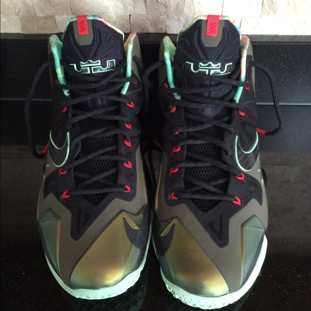 Men’s Nike LeBron 11 ‘Kings Pride’. Size 12.5